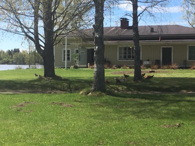 Lomatila Ollila Farm Stay Kerimäki Zewnętrze zdjęcie