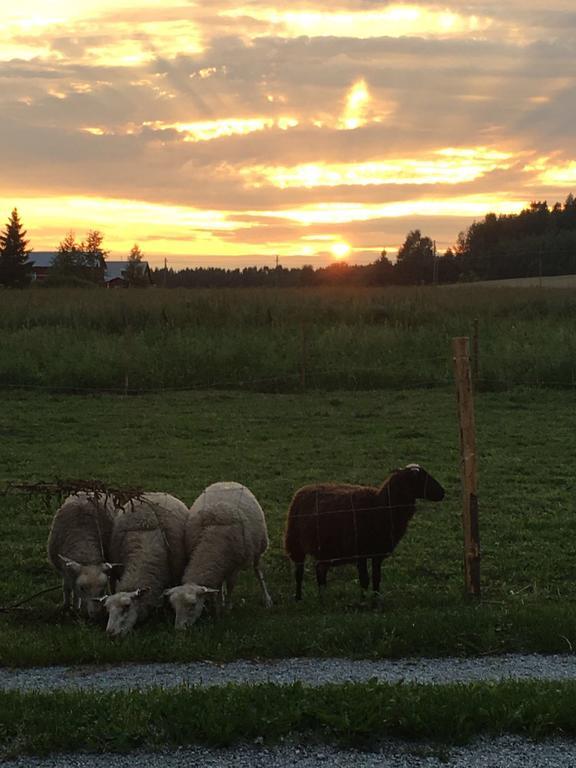 Lomatila Ollila Farm Stay Kerimäki Zewnętrze zdjęcie