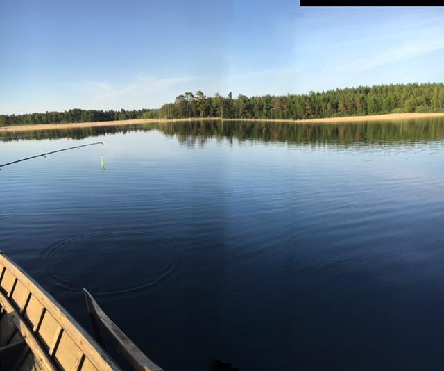 Lomatila Ollila Farm Stay Kerimäki Zewnętrze zdjęcie