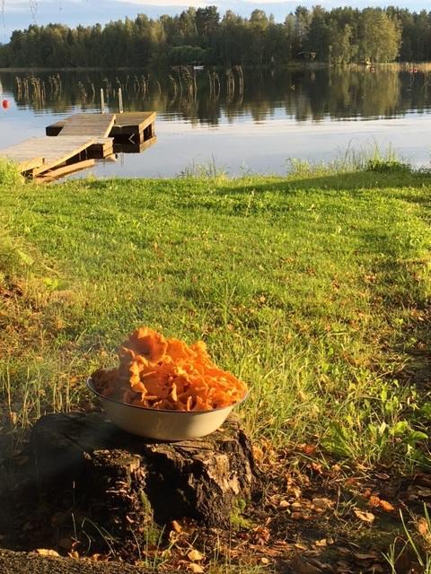 Lomatila Ollila Farm Stay Kerimäki Zewnętrze zdjęcie